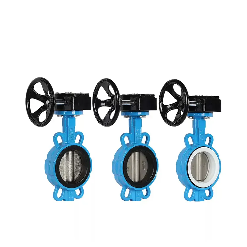 Manual Cast Iron Wafer Butterfly Valve6