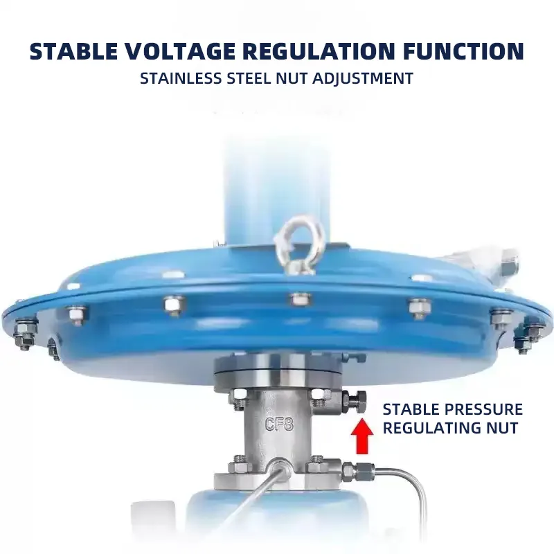 ZZYVP-16 Self-operated Nitrogen Seal Valve 5