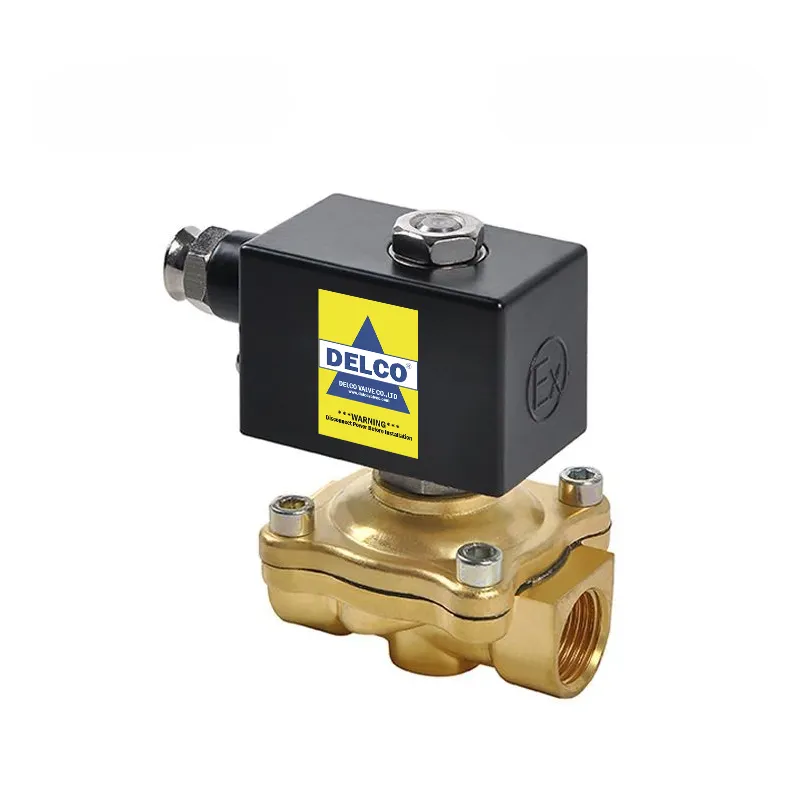Brass Explosion-Proof Solenoid Valve 1